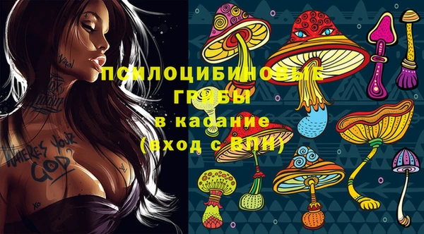 каннабис Арсеньев